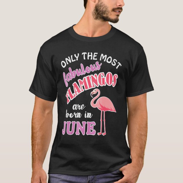 Camiseta Flamingo Birthday Pink Flamingo Roupa (Frente)
