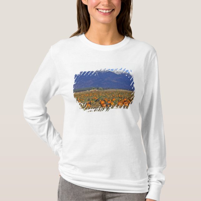Camiseta Flathead Valley Montana campo de abóbora (Frente)