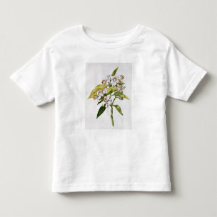 Camiseta Flor da árvore alaranjada, 'de La Guirlande de