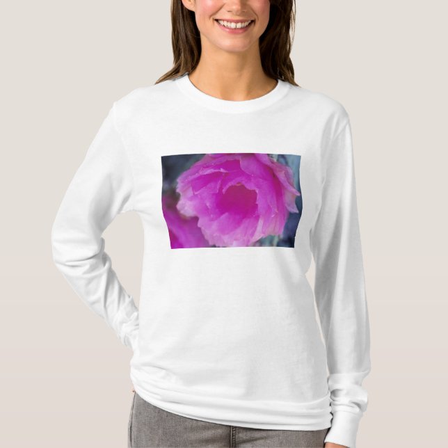 Camiseta Flor de Cactusouriço Rosa (Echinocereus (Frente)