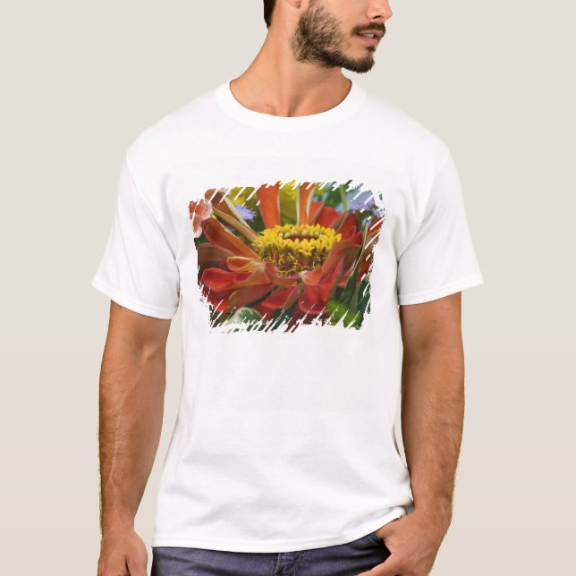 Camiseta flor de crisântemo (Frente)