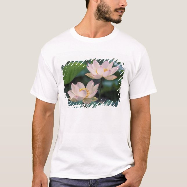 Camiseta Flor de lótus em flor, China (Frente)