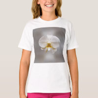Flor de orquídea