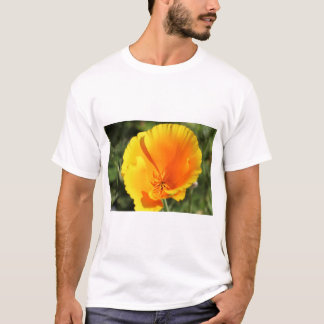 Camiseta Flor de papoila da Califórnia