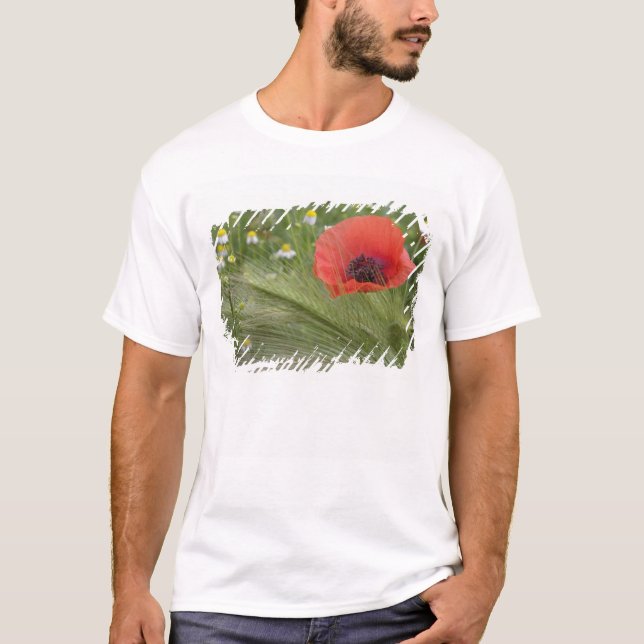 Camiseta Flor de papoila vermelha, Toscana, Itália (Frente)