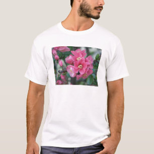 Camiseta Flor de Quince em Flor Rosa na Primavera