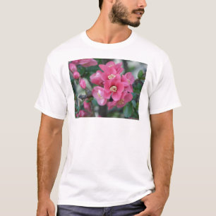 Camiseta Flor de Quince em Flor Rosa na Primavera