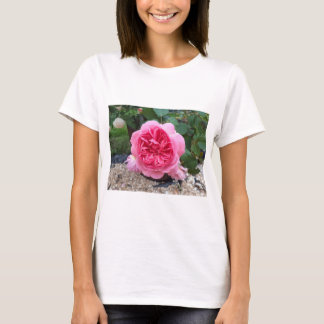 Camiseta Flor de Rosa Rosa Bonita Floral Jardinage