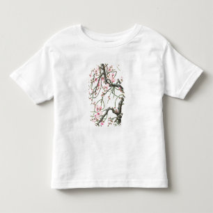 Camiseta Flor do pêssego (cor no papel)