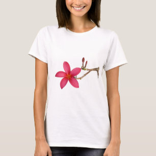 Camiseta Flor vermelha do Frangipani