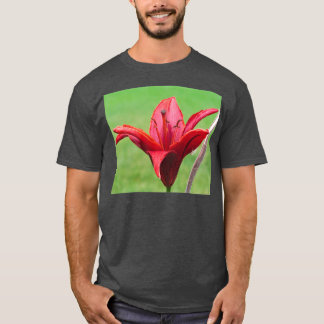 Camiseta Flor Vermelho