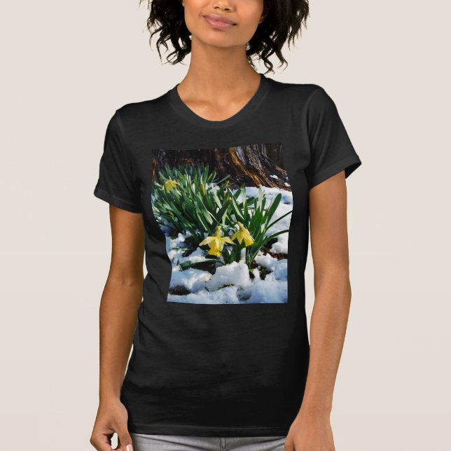 Camiseta Flores amarelas Daffodils na neve (Frente)