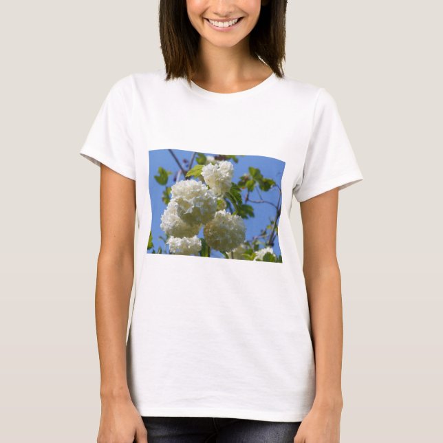 Camiseta Flores brancas de rosa de guelder (Frente)