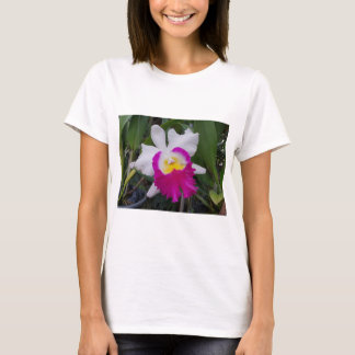 Camiseta Flores da orquídea de Tailândia