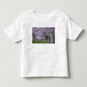 Camiseta Flores de cerejeira ao longo do rio Willamette, EU