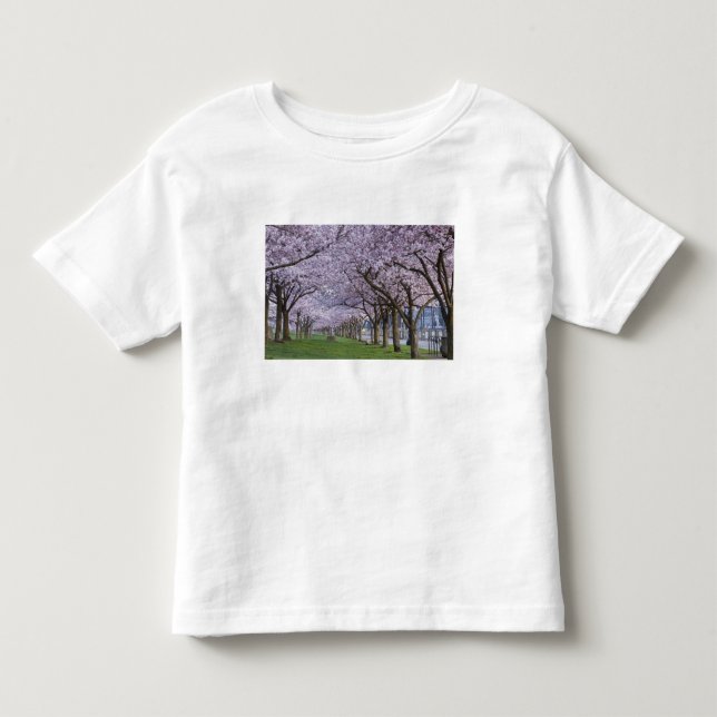 Camiseta Flores de cerejeira ao longo do rio Willamette, EU (Frente)