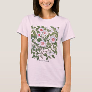 Camiseta Flores de Hibisco Antigas por Basilius Besler