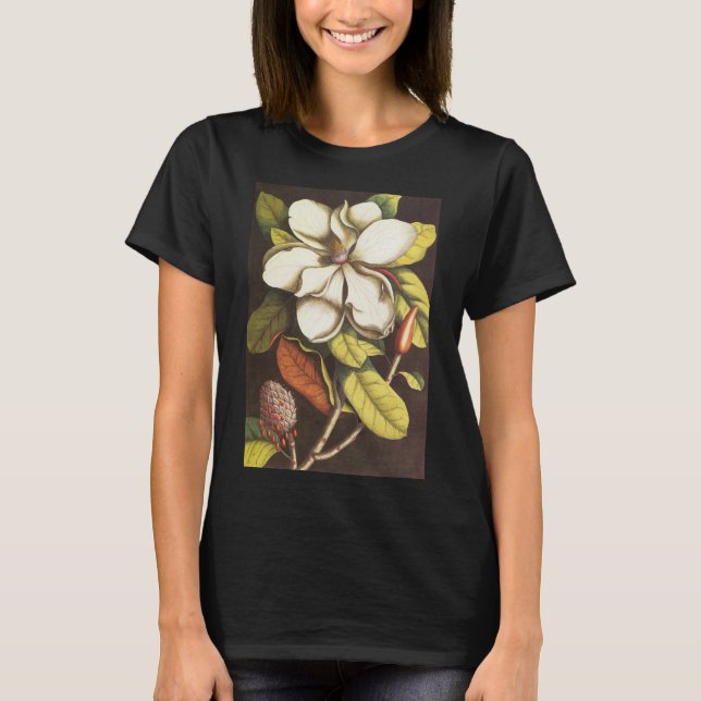 Camiseta Flores de Magnólia Antiga Planta Com Sementes (Frente)