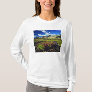 Camiseta Flores-macacos no Logan Pass na Glacier National
