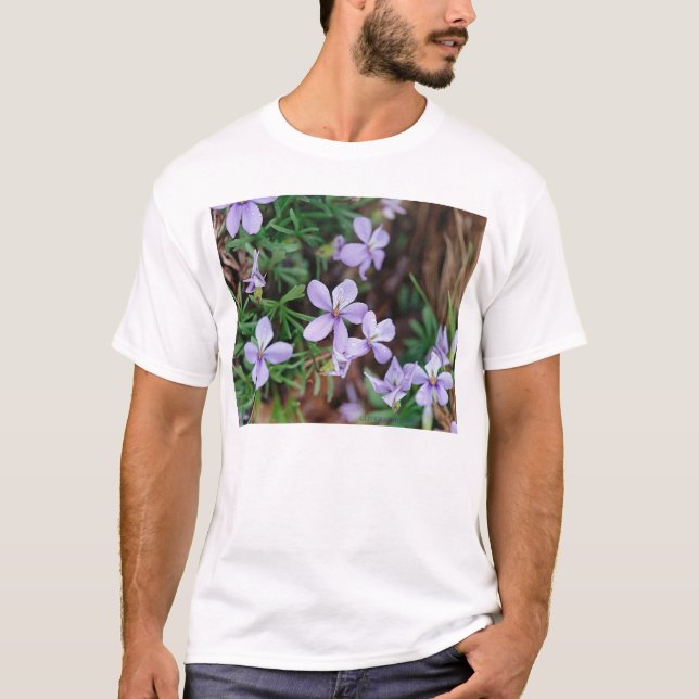 Camiseta Flores selvagens (Frente)