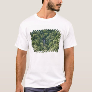 Camiseta Floresta de Himalaia no vale de Mangdue, Butão