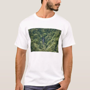 Camiseta Floresta de Himalaia no vale de Mangdue, Butão
