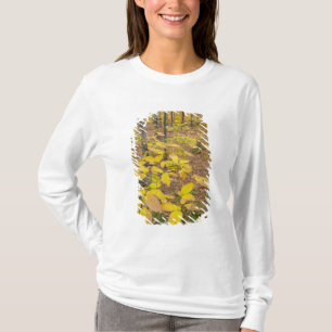 Camiseta floresta de madeira de lei do norte em New Hampshi