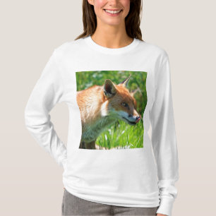 Camiseta Floresta de Raposa Animal Festa de Escritório Chuv