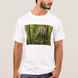 Camiseta Floresta em nuvem, Bosque de Paz, Costa Rica