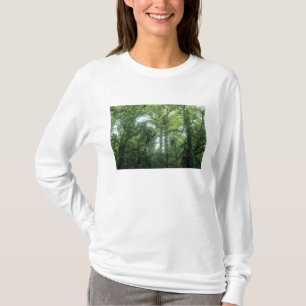 Camiseta Floresta Nubosa de Monteverde, Costa Rica.