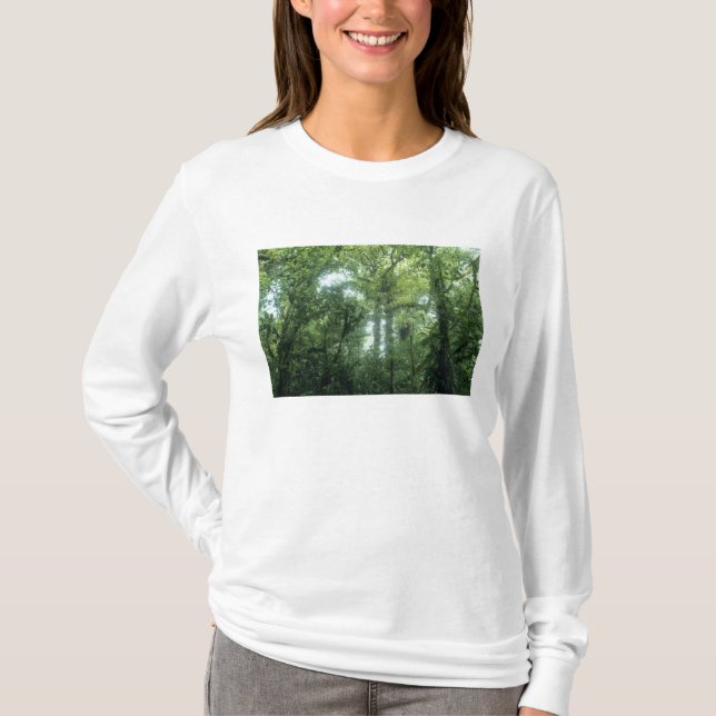 Camiseta Floresta Nubosa de Monteverde, Costa Rica. (Frente)