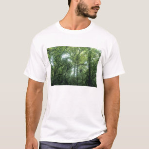 Camiseta Floresta Nubosa de Monteverde, Costa Rica.