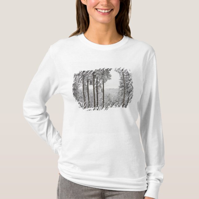 Camiseta Floresta verde no inverno (Frente)