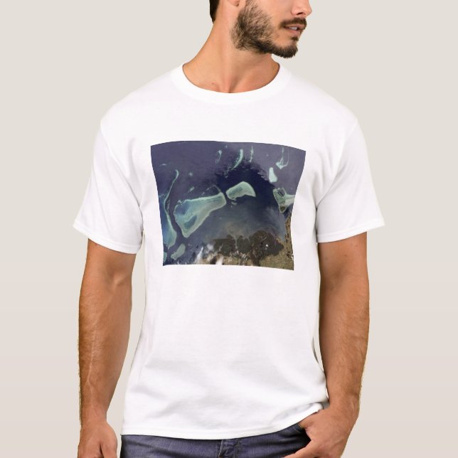 Camiseta Floresta verde profunda em terra (Frente)