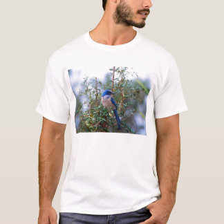 Camiseta Florida esfrega Jay