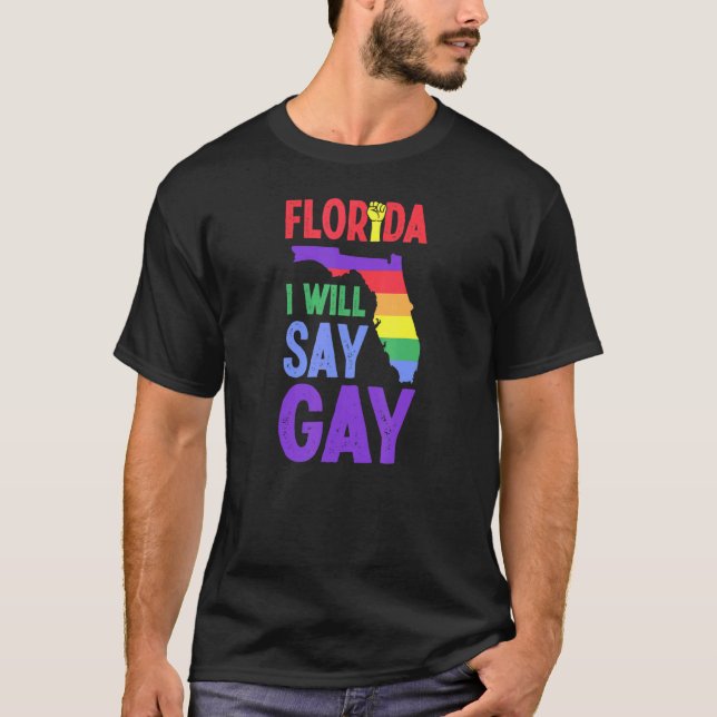 Camiseta Flórida Eu Vou Dizer Direitos De Orgulho gay Quebr (Frente)