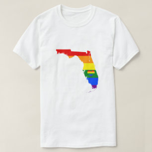 Camiseta Flórida Orgulho gay Rainbow Flag Heart GLBTQ Desi