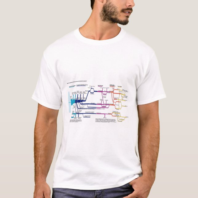Camiseta Flow Chart USA American Criminal Justice (Frente)