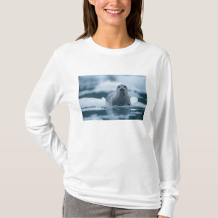 Camiseta foca-comum-do-pacífico, Phoca vitulina richardsi