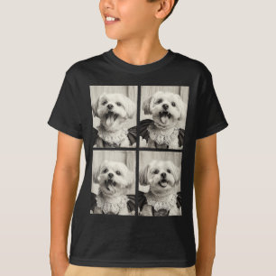Camiseta Fofinho Vampiro Maltês Y Roupa de Halloween de Cac