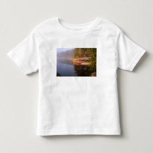 Camiseta Foggy Canoe Campsite, Lago Kawnipi,