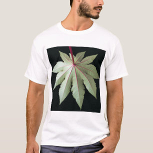 Camiseta Folha e haste