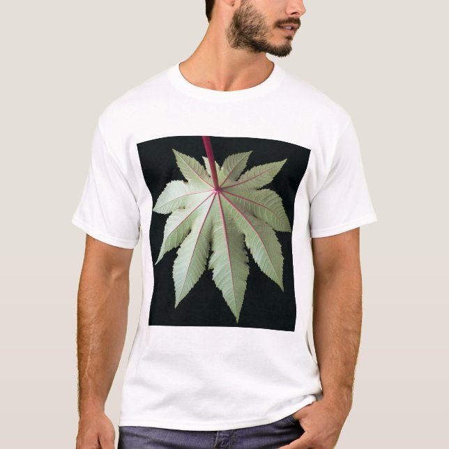 Camiseta Folha e haste (Frente)