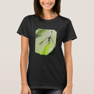 Camiseta Folha verde Blue Dragonfly Foto fotográfica