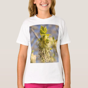 Camiseta Folhas bonitas em primavera