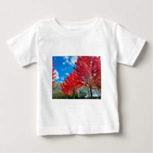Camiseta Folhas De Árvore Vermelha Brilhante No Outono