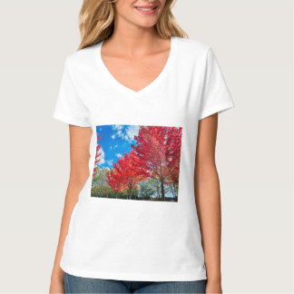 Camiseta Folhas De Árvore Vermelha Brilhante No Outono