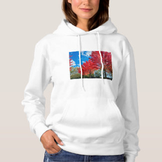Camiseta Folhas De Árvore Vermelha Brilhante No Outono