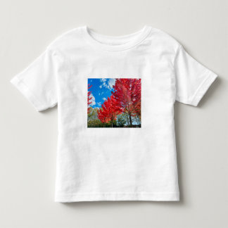 Camiseta Folhas De Árvore Vermelha Brilhante No Outono