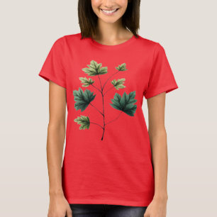 Camiseta Folhas de bordo vintage com veias detalhadas